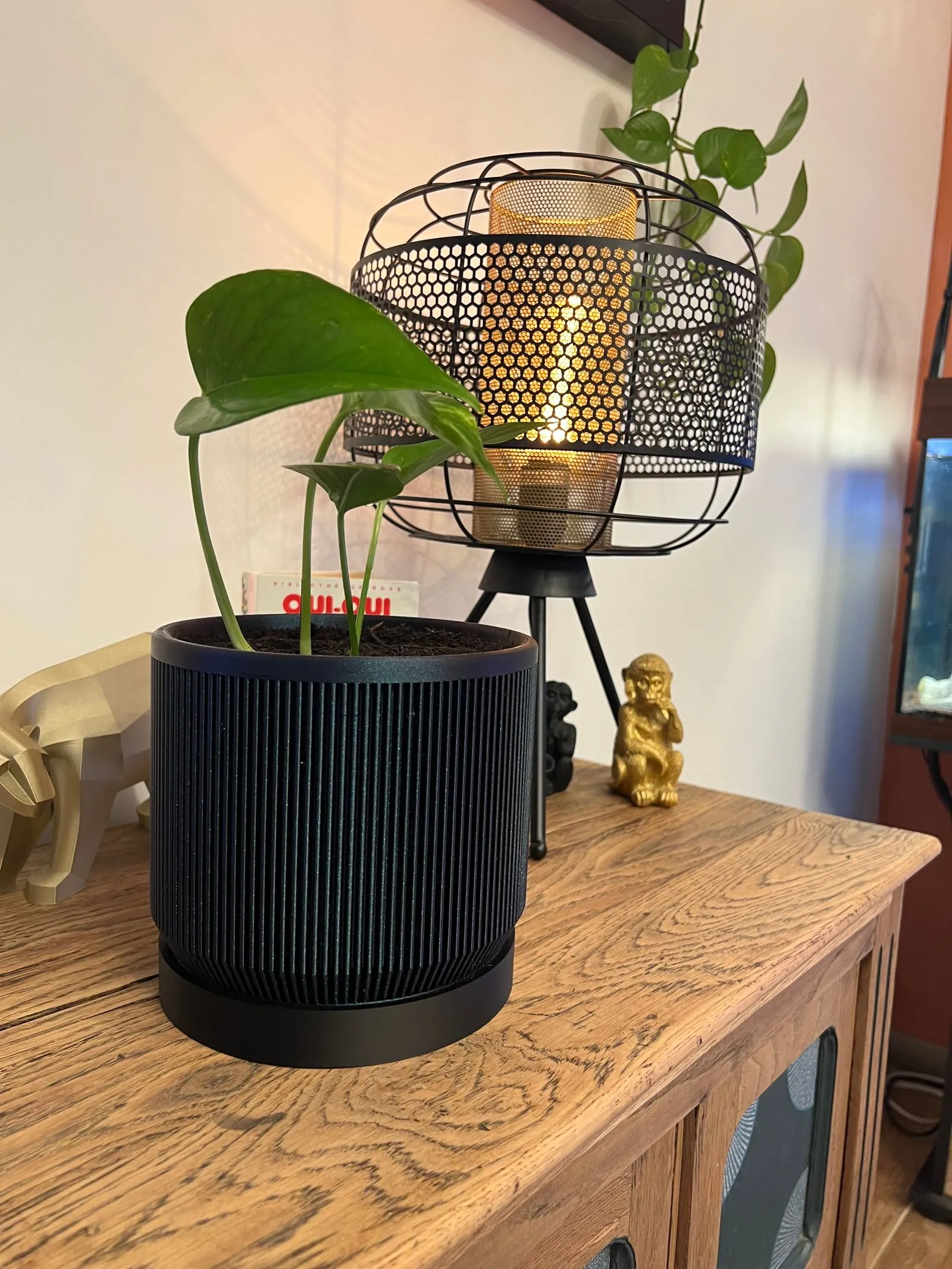 Pot de fleur